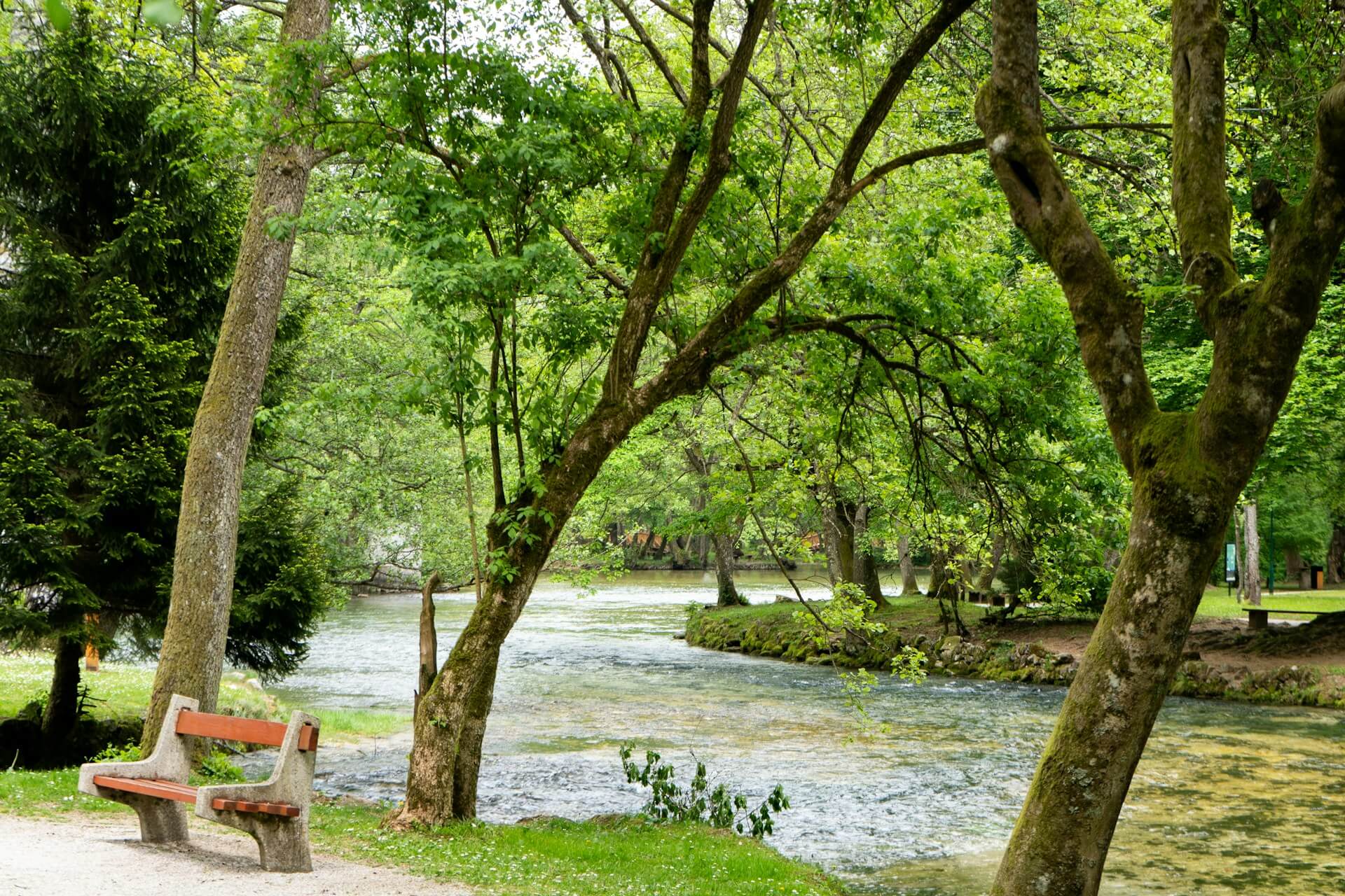 Vrelo Bosne